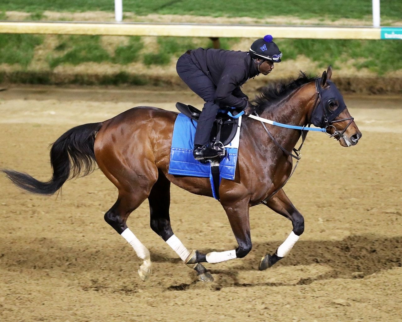 Publisher galloping at Churchill Downs (Photo by Coady Media/Renee Torbit)