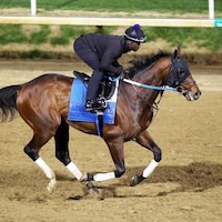 Publisher galloping at Churchill Downs (Photo by Coady Media/Renee Torbit)