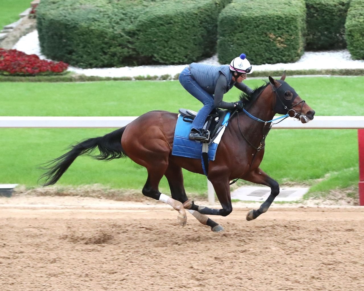 Publisher working at Oaklawn Park.