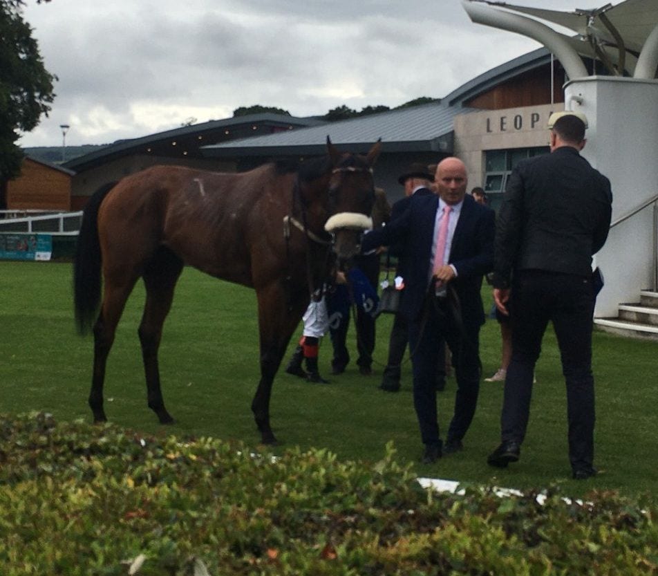 Purview after his near-miss in the 2025 Meld (G3)