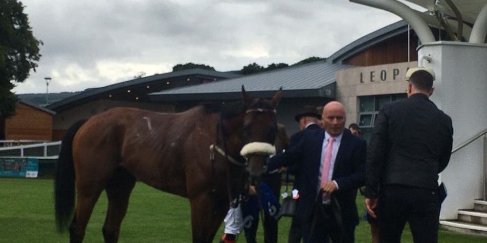 Purview after his near-miss in the 2025 Meld (G3)