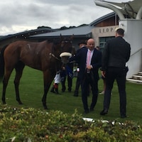 Purview after his near-miss in the 2025 Meld (G3)