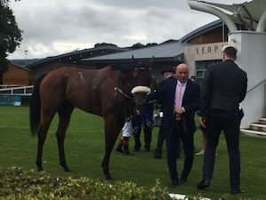Purview after his near-miss in the 2025 Meld (G3)