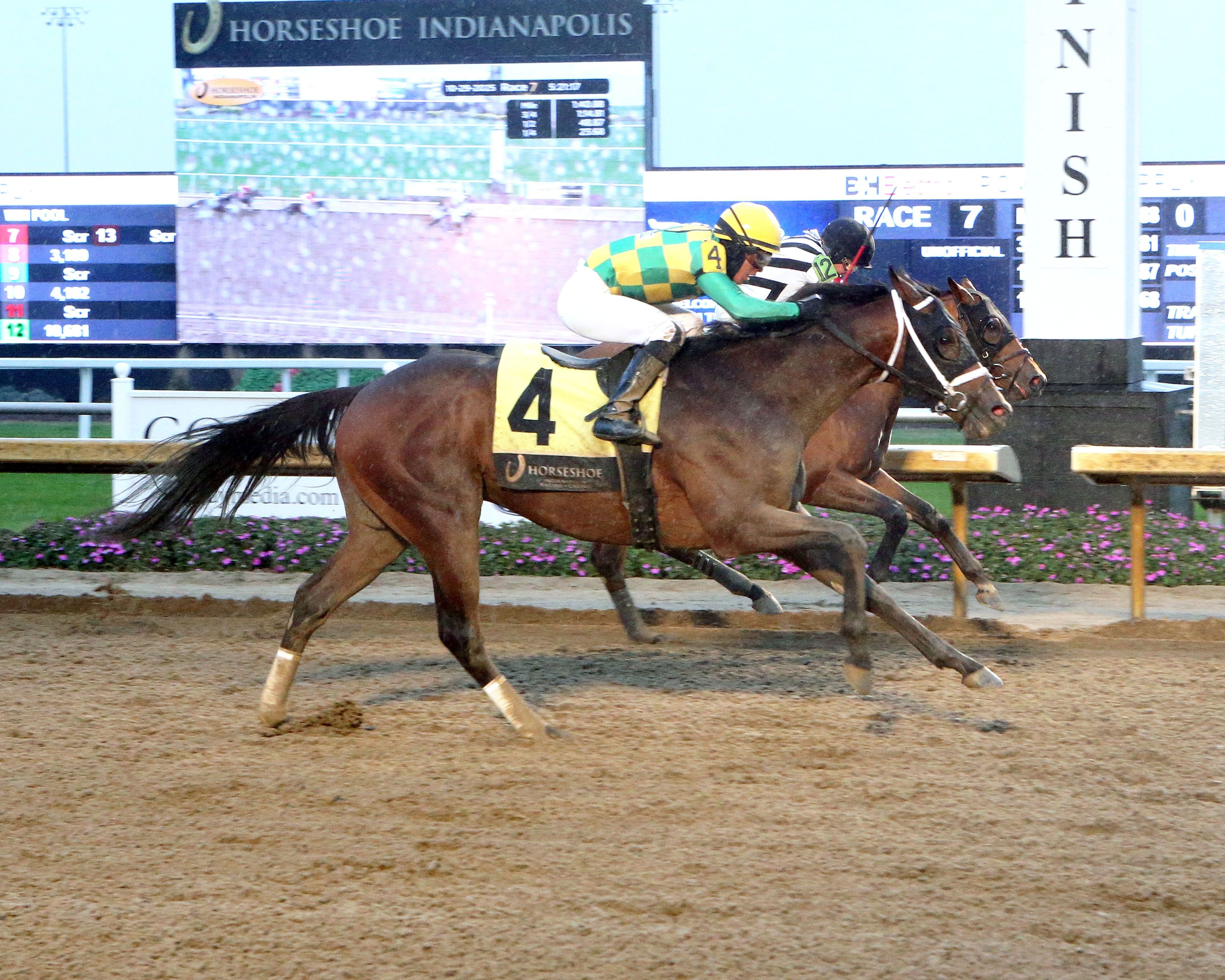 Quality Mischief wins at Horseshoe Indianapolis.
