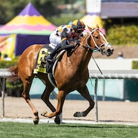 Queen Maxima wins at Santa Anita.