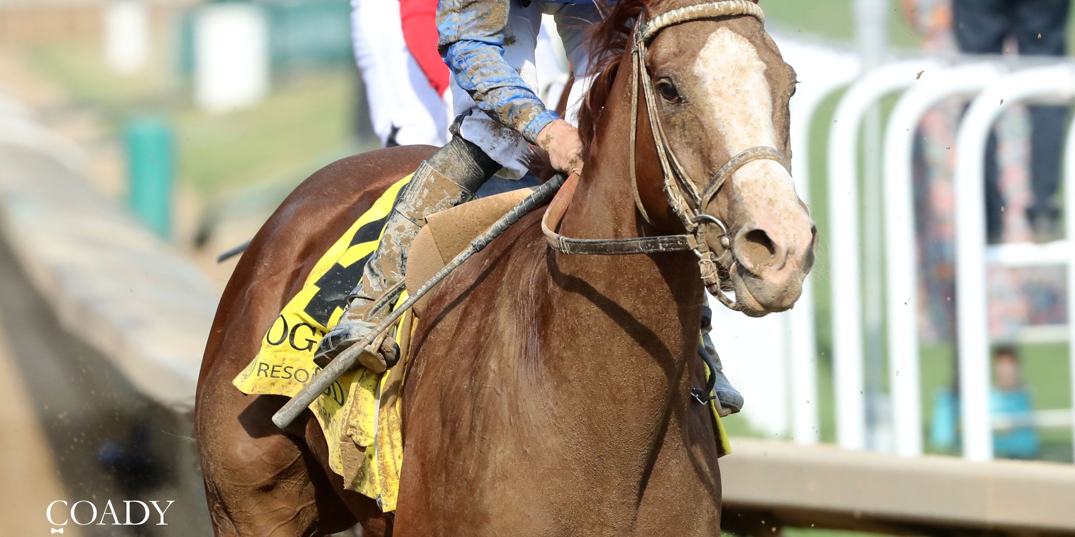 Ragtime wins the Dogwood S. (G3) at Churchill Downs. 