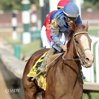 Ragtime wins the Dogwood S. (G3) at Churchill Downs.