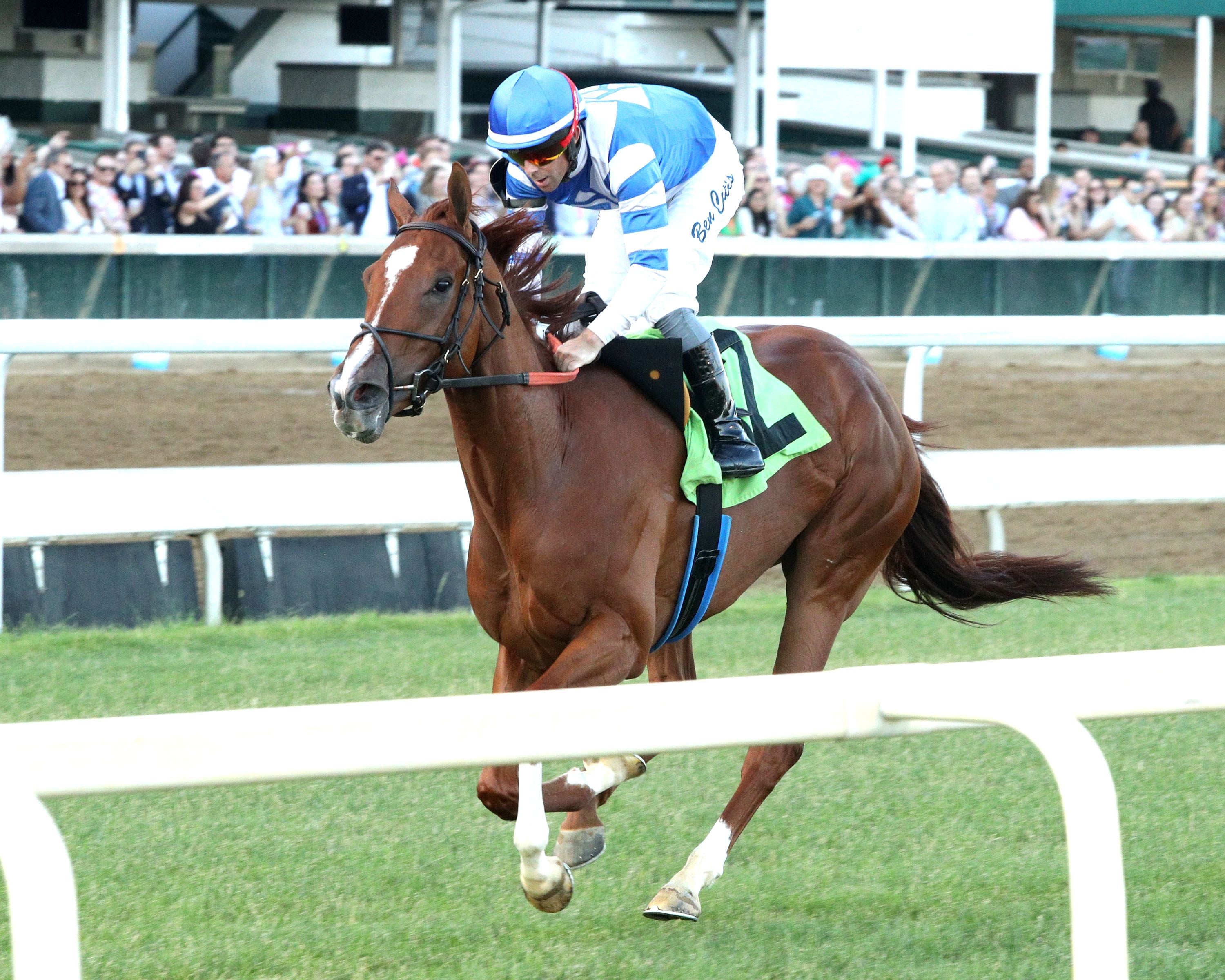 Raiding Party wins at Churchill Downs. 