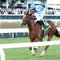 Raiding Party wins at Churchill Downs. 