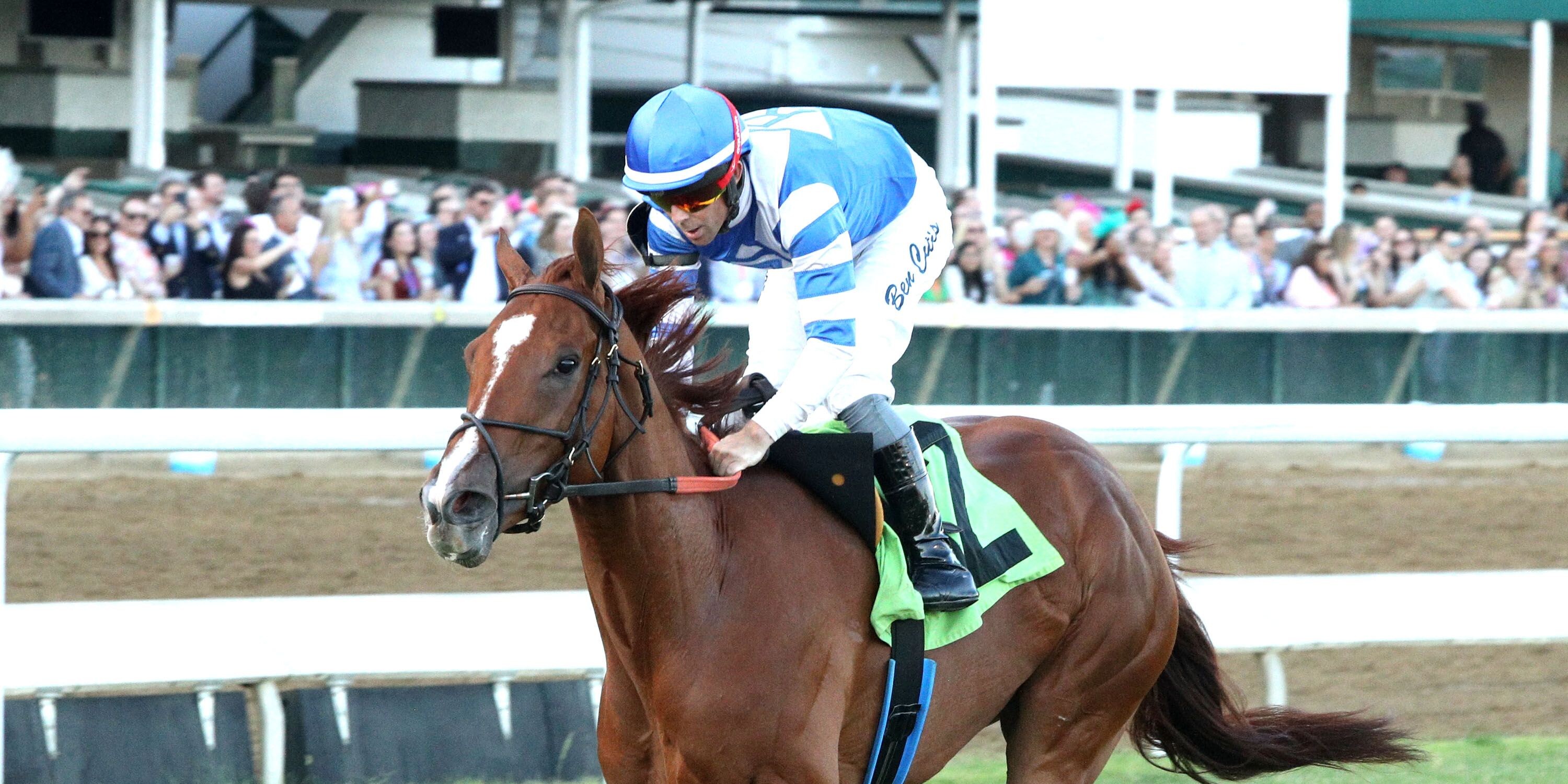 Raiding Party wins at Churchill Downs.