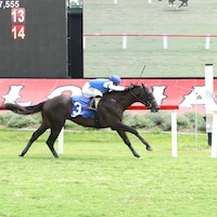 Ready for Peace wins at Colonial Downs