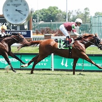 Rebel Red wins at Churchill Downs.
