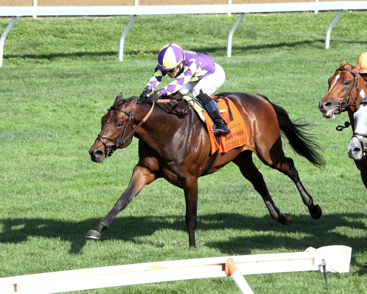 Remember Mamba wins the Translyvania Stakes at Keeneland.