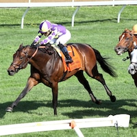 Remember Mamba wins the Translyvania Stakes at Keeneland.