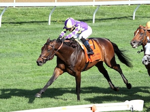Remember Mamba wins the Translyvania Stakes at Keeneland.