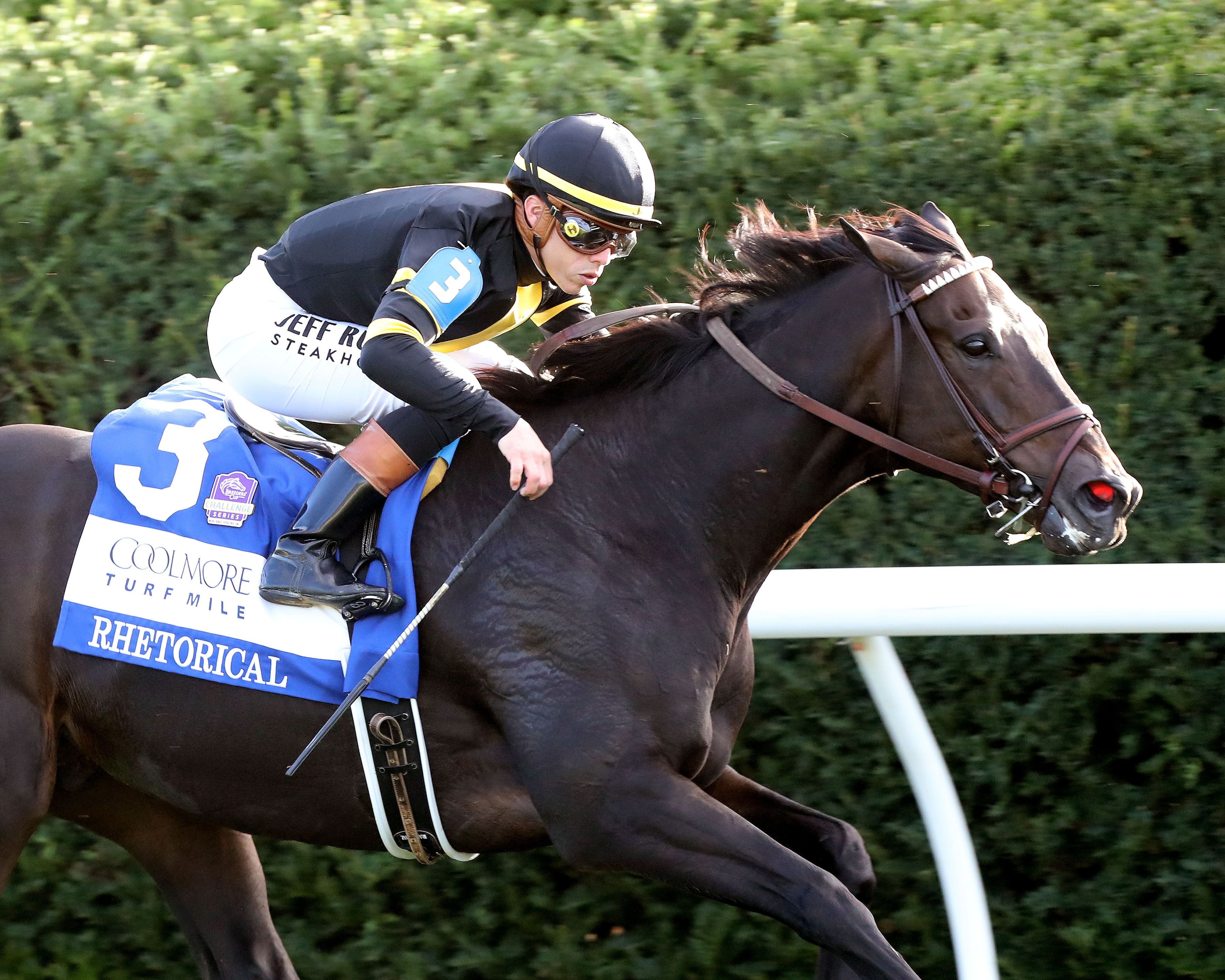 Rhetorical wins the Coolmore Turf Mile (G1) at Keeneland.