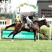Rhetorical lowered Lure's stakes record in the Turf Classic (G1)