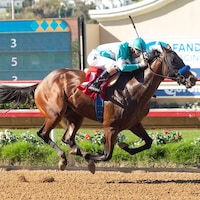 Rothschild wins at Del Mar.
