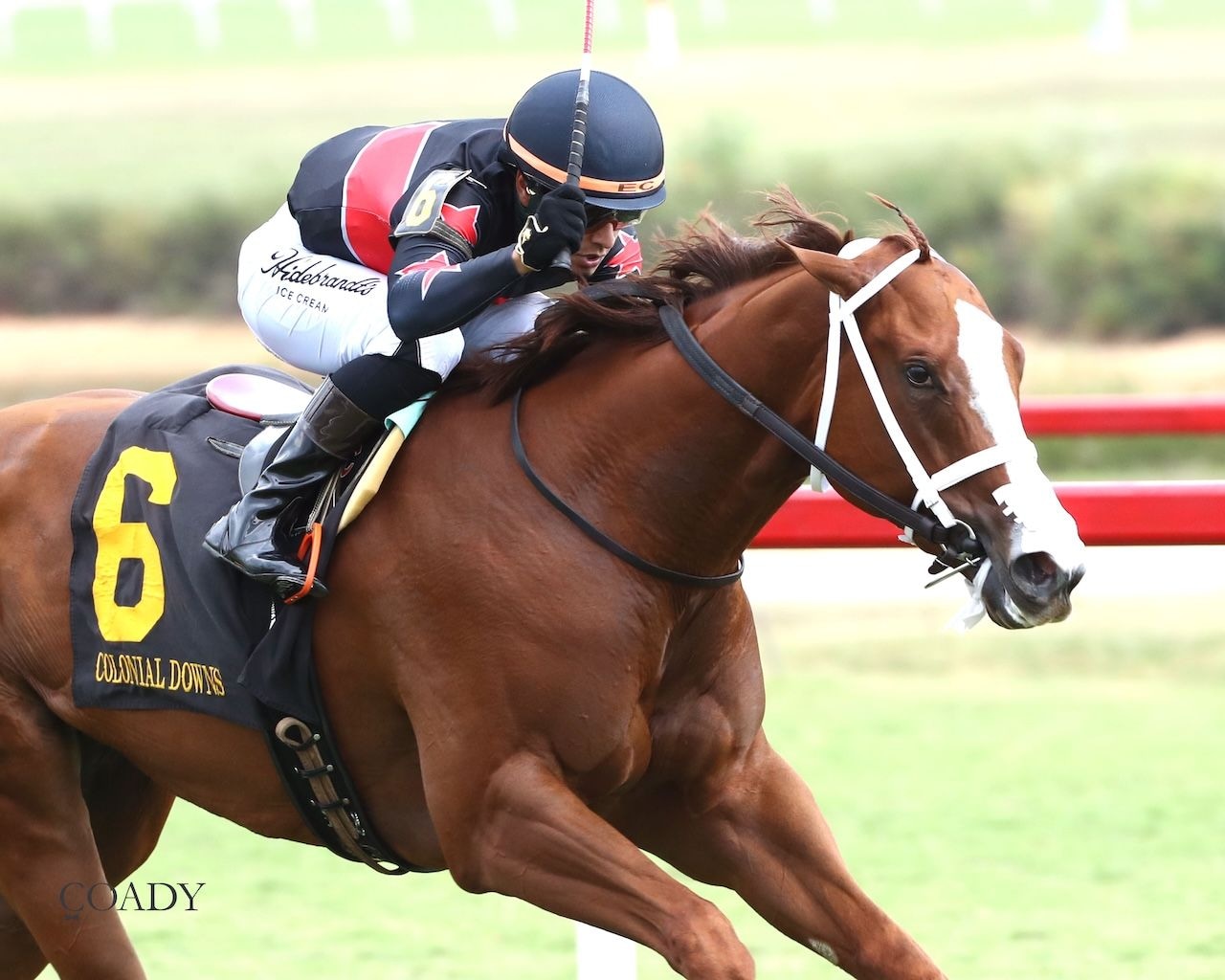 Royal Testament wins the Exacta Systems Rosie's Stakes at Colonial Downs. 