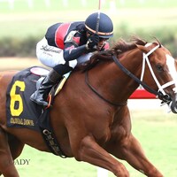 Royal Testament wins the Exacta Systems Rosie's Stakes at Colonial Downs.
