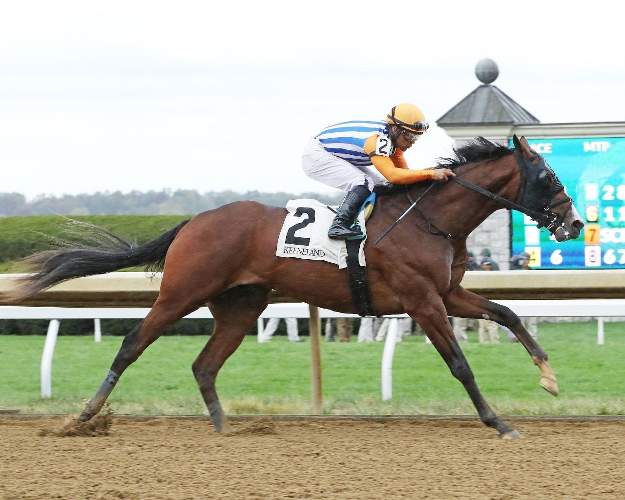 Dornoch (Photo by Keeneland Photos)