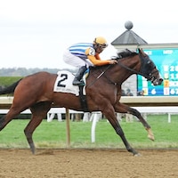 Dornoch (Photo by Keeneland Photos)