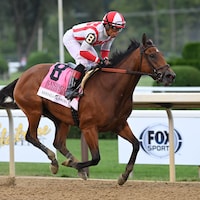 Randomized carried her speed 1 1/4 miles in the Alabama (Photo by Coglianese Photos)