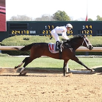 Rapture wins at Oaklawn Park.