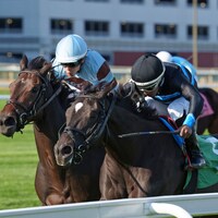 Ready for Candy holds off Fast Market in the Sands Point (G2)