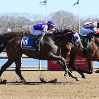 Reasoned Analysis breaking his maiden at Aqueduct (Photo by Coglianese Photos)