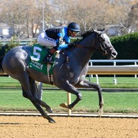 Rebel Instinct breaking his maiden at Aqueduct