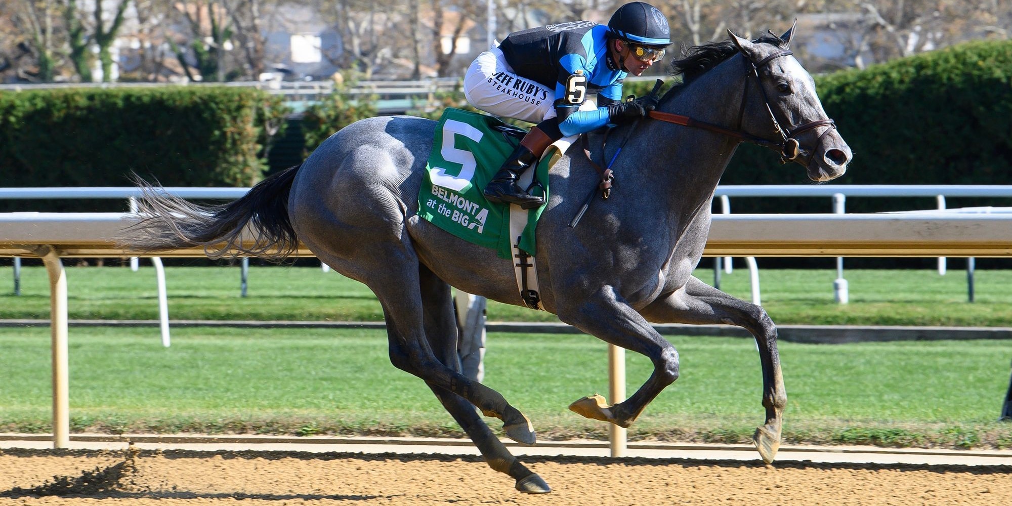 Rebel Instinct breaking his maiden at Aqueduct