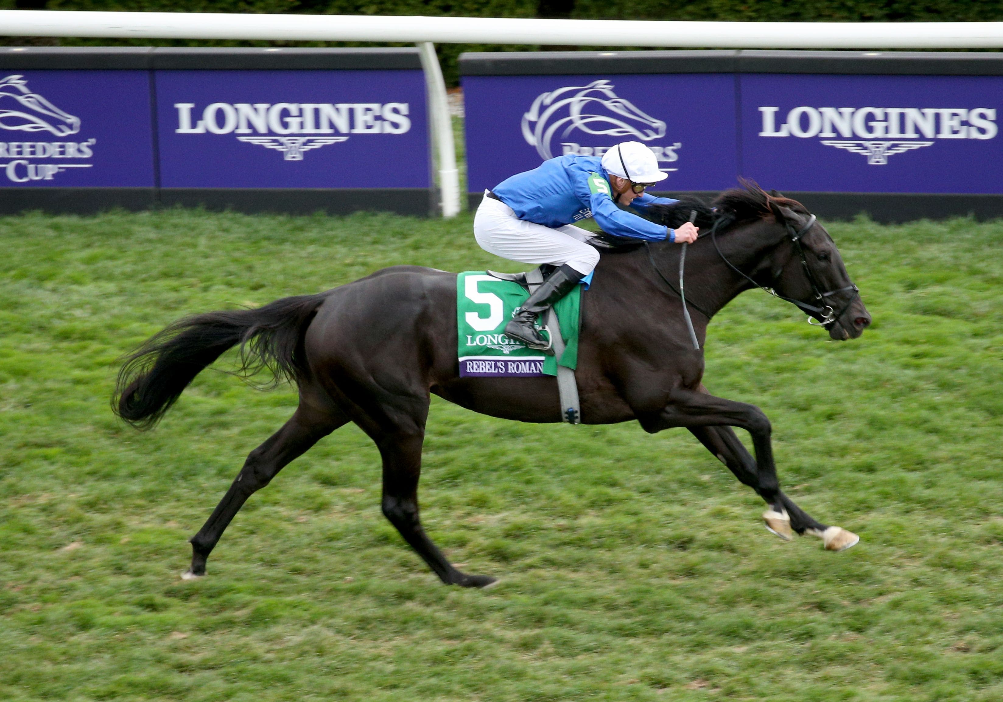 Rebel's Romance won his first Breeders' Cup Turf (G1) in 2022