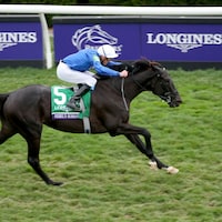 Rebel's Romance won his first Breeders' Cup Turf (G1) in 2022