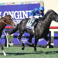 Rebel's Romance wins the Breeders' Cup Turf for the second time