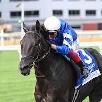 Rebel's Romance was much the best in the Joe Hirsch Turf Classic (G1)