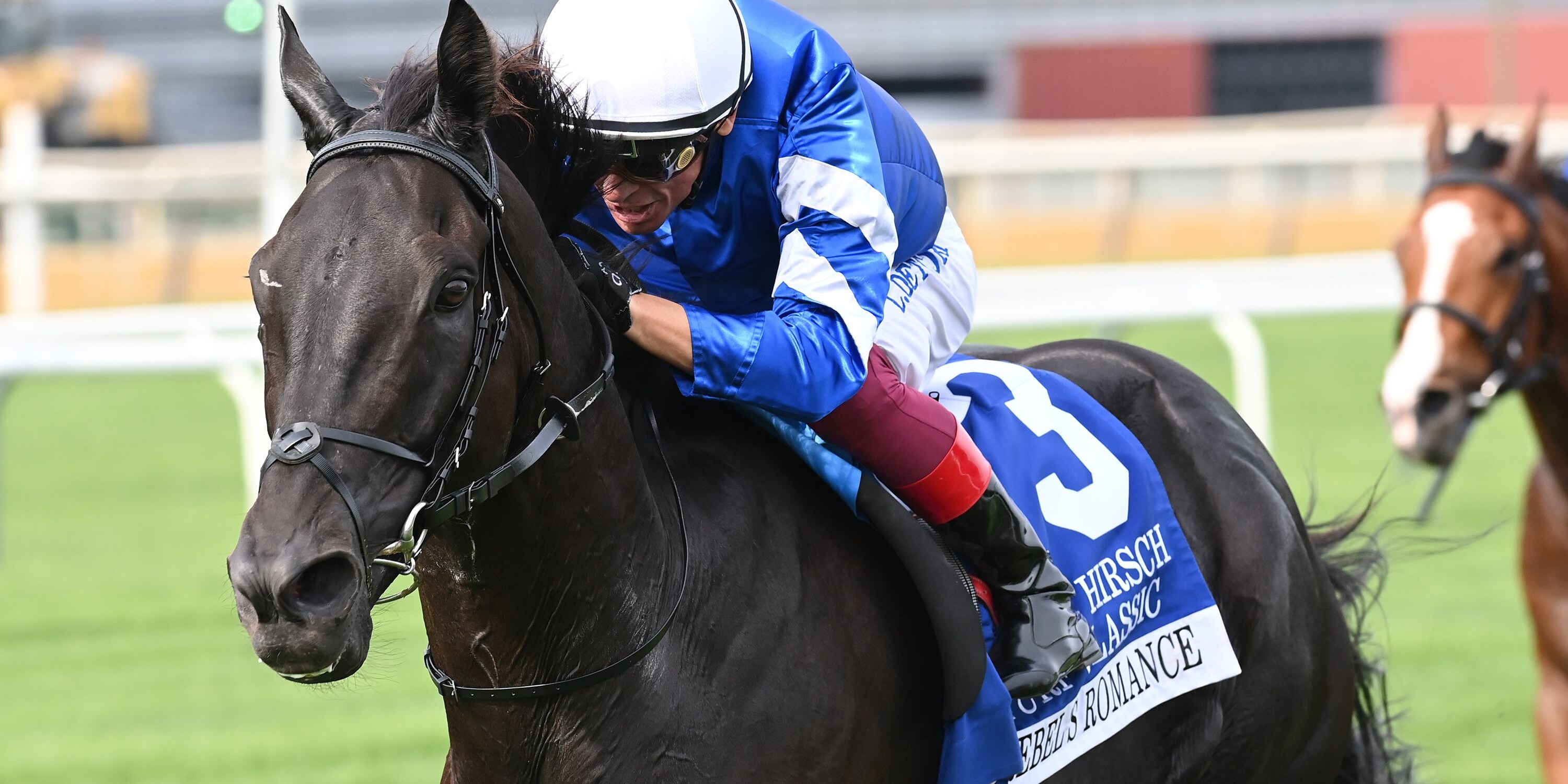 Rebel's Romance was much the best in the Joe Hirsch Turf Classic (G1)