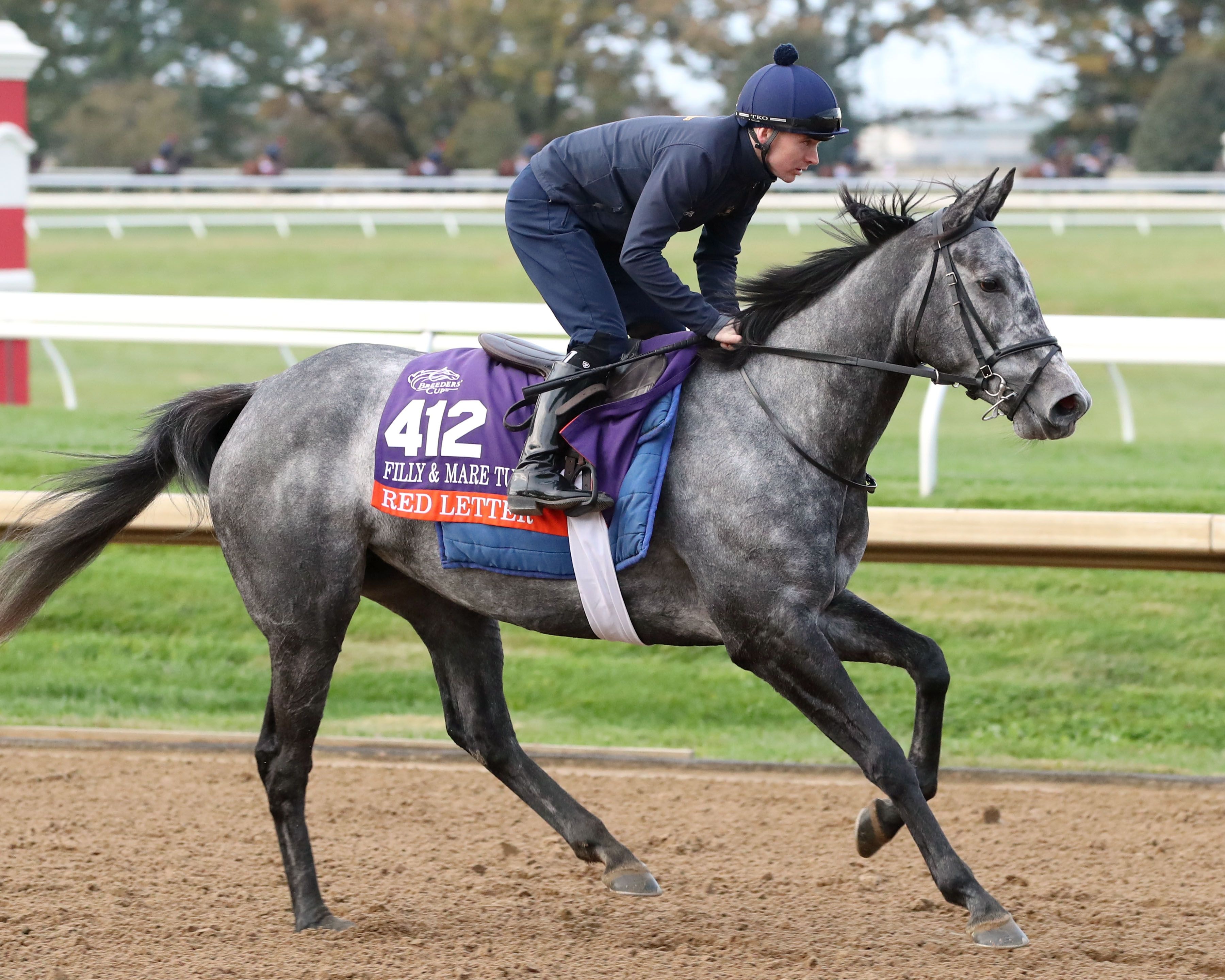 Red Letter brings smart placed form into the Filly & Mare Turf (G1)
