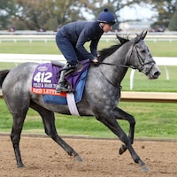 Red Letter brings smart placed form into the Filly & Mare Turf (G1)