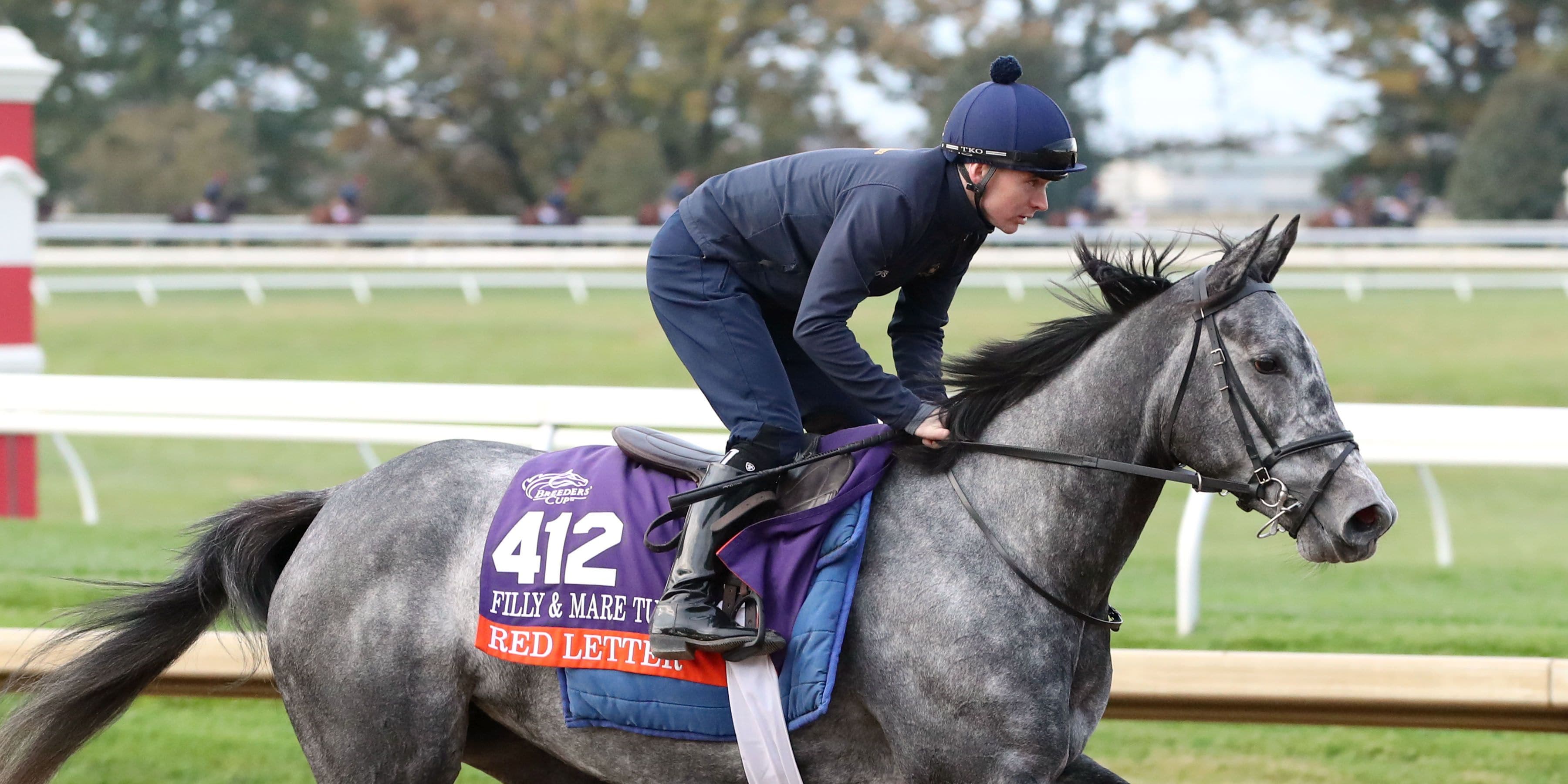 Red Letter brings smart placed form into the Filly & Mare Turf (G1)