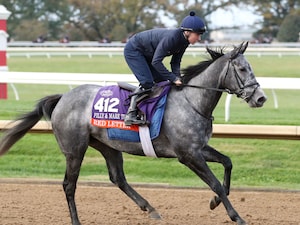 Red Letter brings smart placed form into the Filly & Mare Turf (G1)