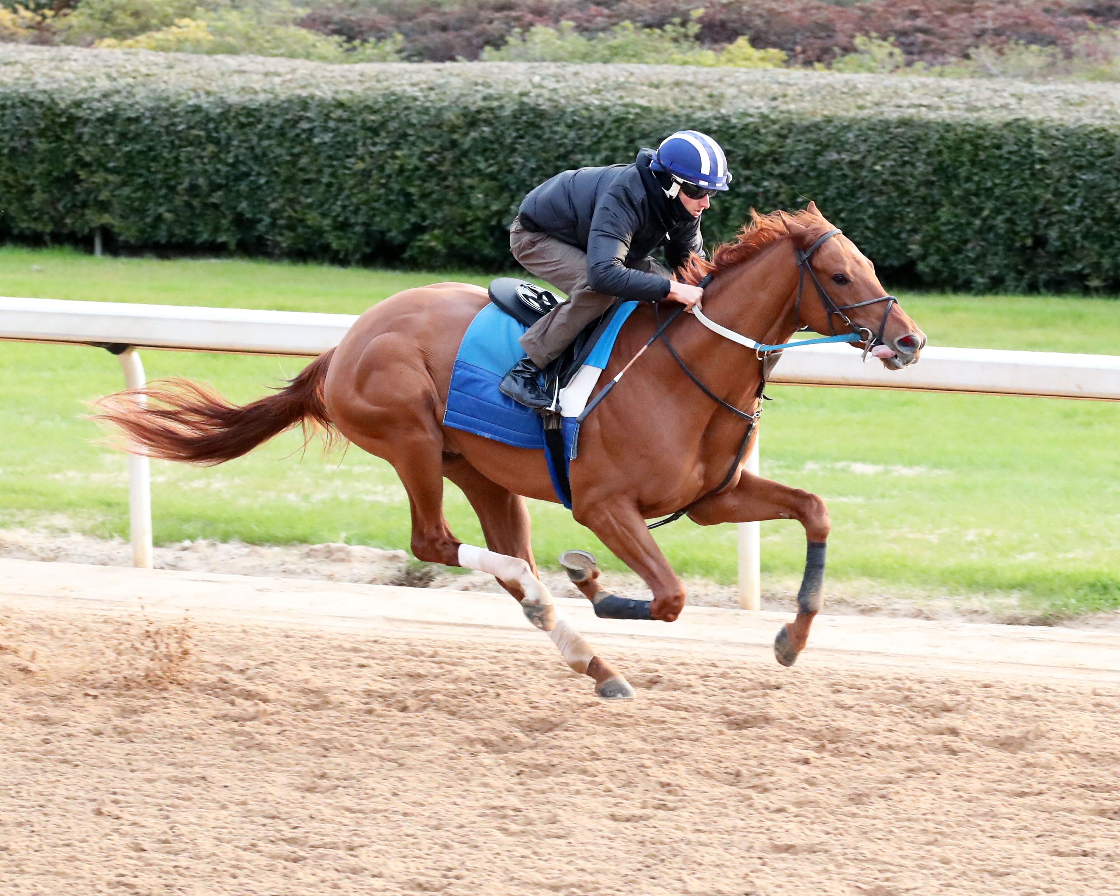 Red Route One trains at Oaklawn Park on Feb. 19, 2023.(Photo by Coady Photography/Oaklawn Park)