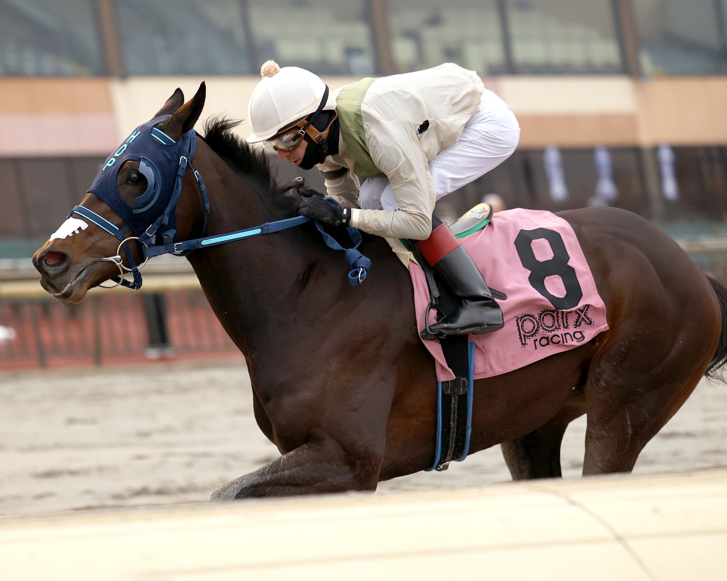 Red Zone Runner wins at Parx Racecourse.