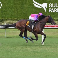 Redland Rebels wins at Gulfstream Park.