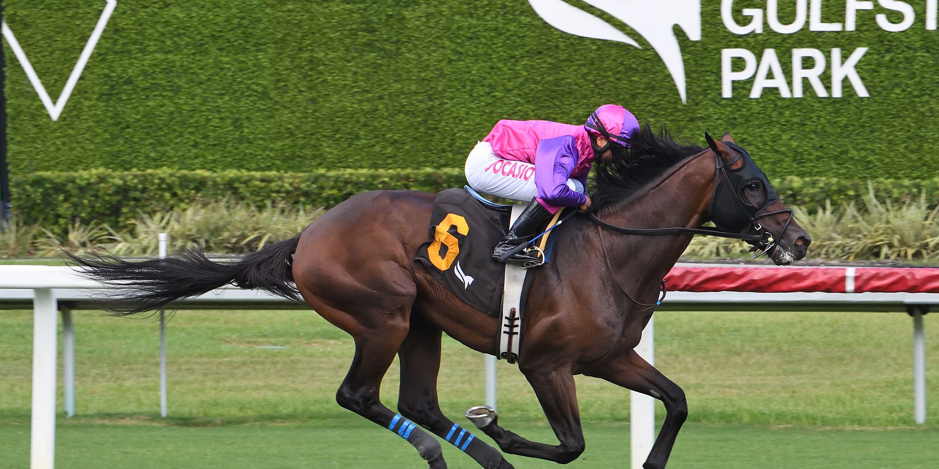 Redland Rebels wins at Gulfstream Park.