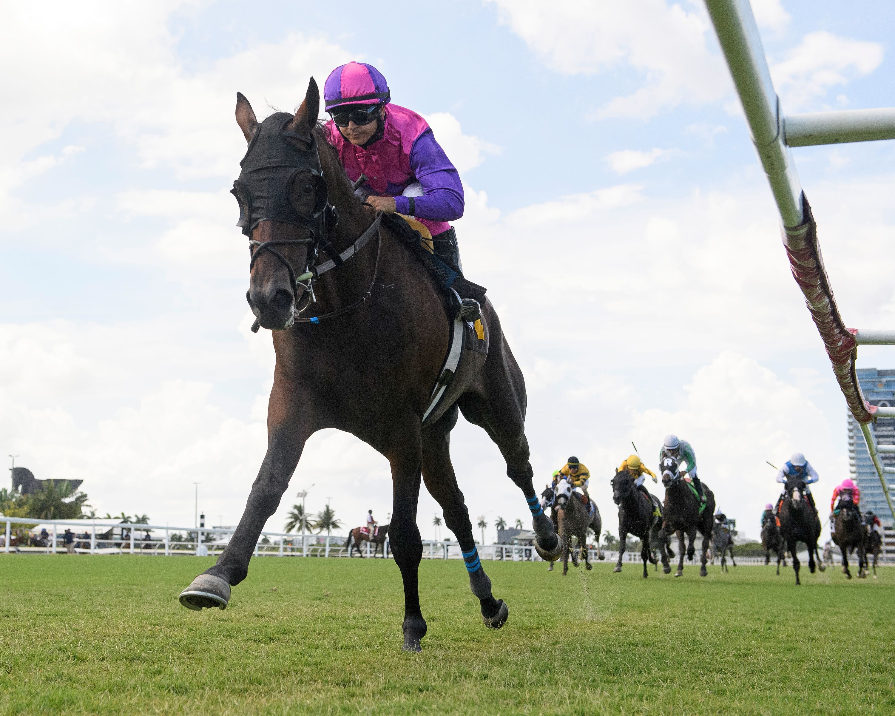Redland Rebels wins at Gulfstream Park.