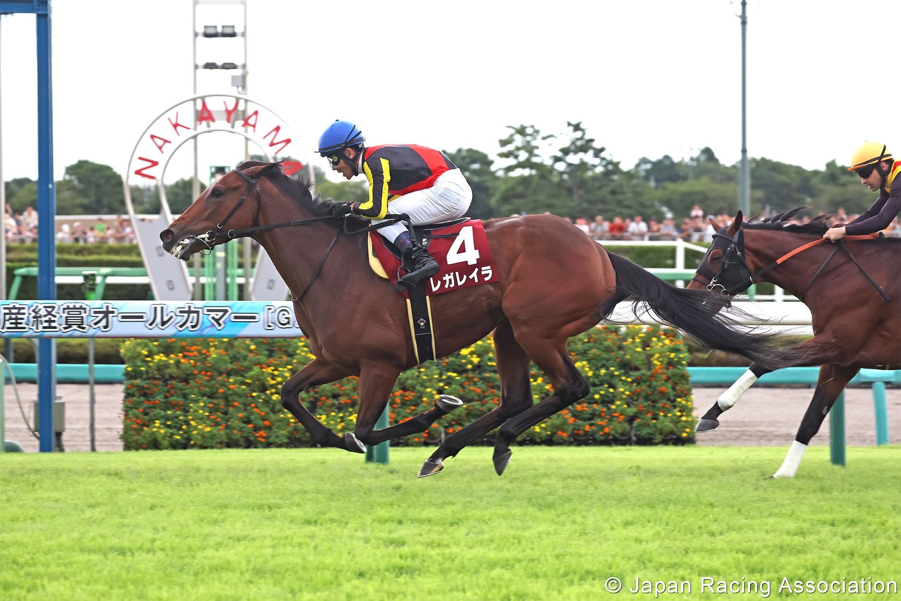 Regaleira beat her older half-brother, Douradores, in the Sankei Sho All Comers (G2)