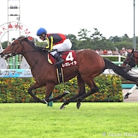 Regaleira beat her older half-brother, Douradores, in the Sankei Sho All Comers (G2)