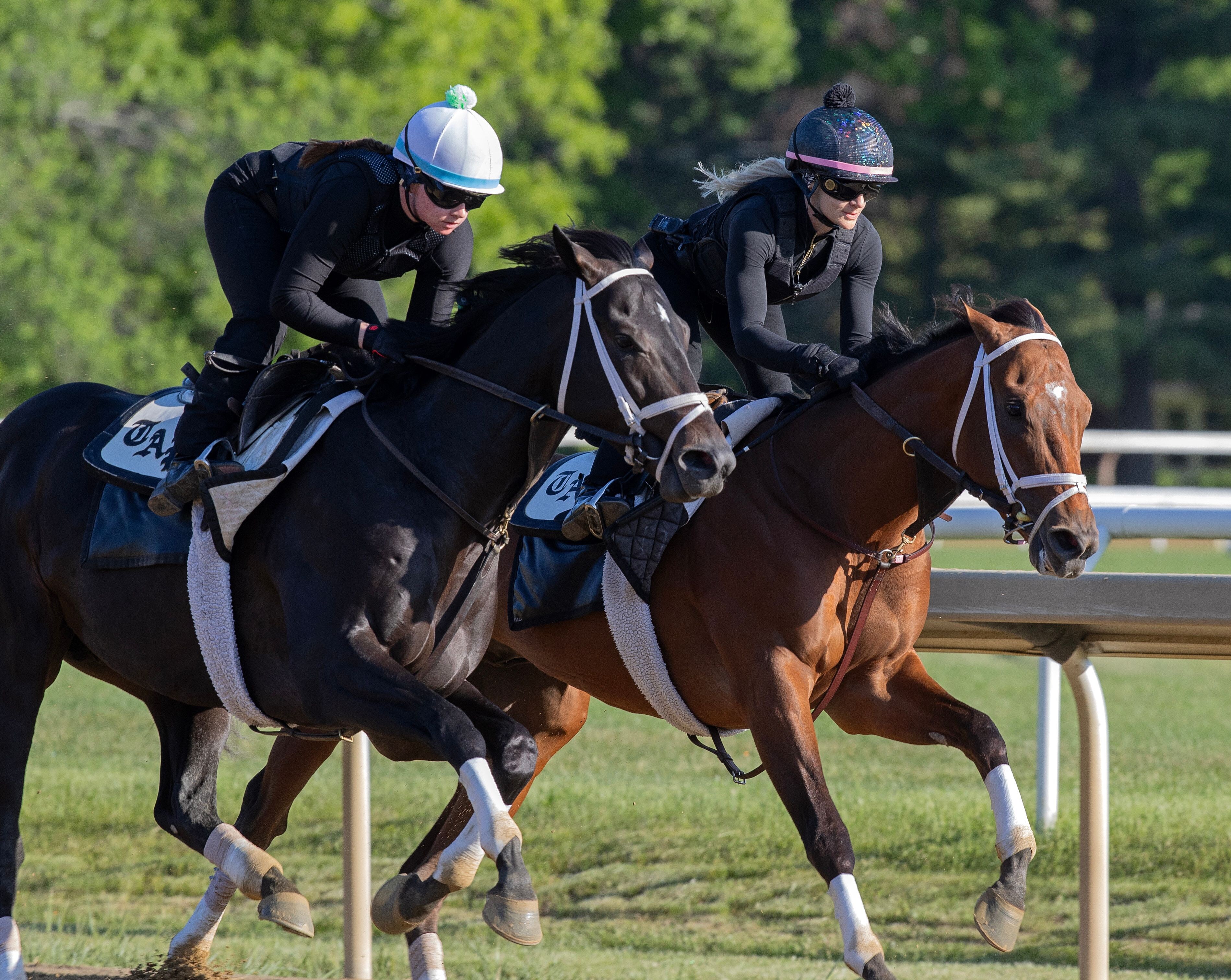 Renegade trains for the Belmont Stakes (Photo by Coglianese Photos)