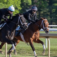 Renegade trains for the Belmont Stakes (Photo by Coglianese Photos)